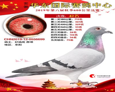 华东42