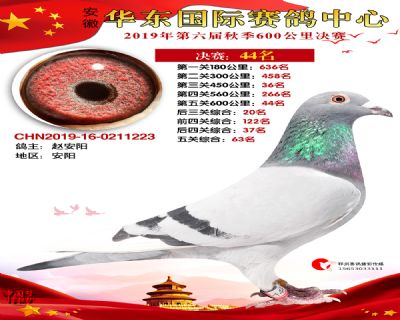 华东44