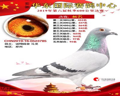 华东46