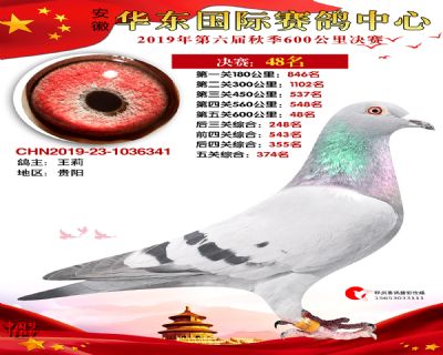 华东48