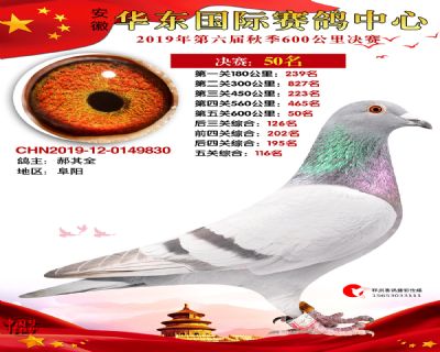 华东50