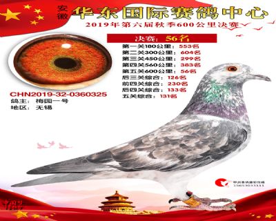 华东56