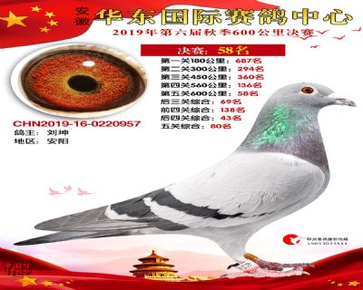 华东58
