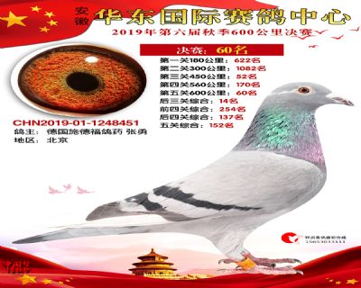 华东60