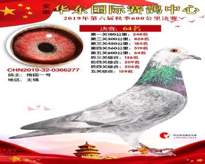 华东64