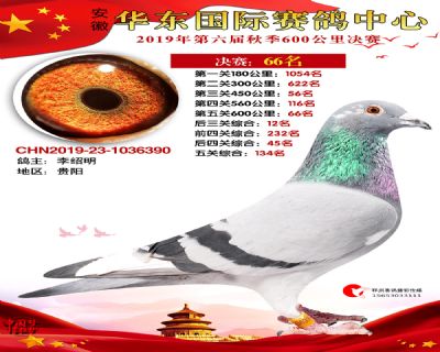 华东66