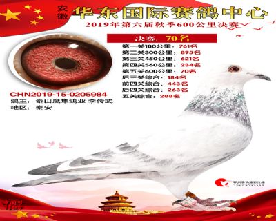 华东70