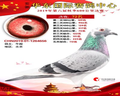 华东72