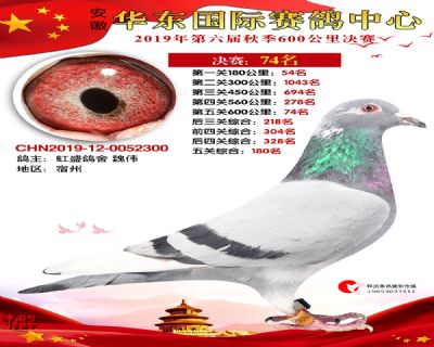 华东74