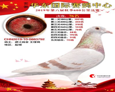 华东76