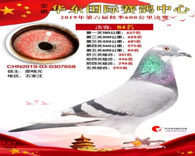 华东84