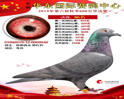 华东86