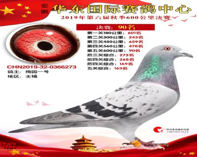 华东90