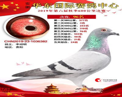华东96