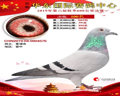 华东100