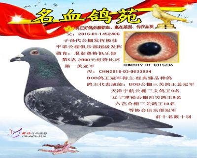 欧洲之王血脉