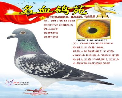 欧洲之王血脉