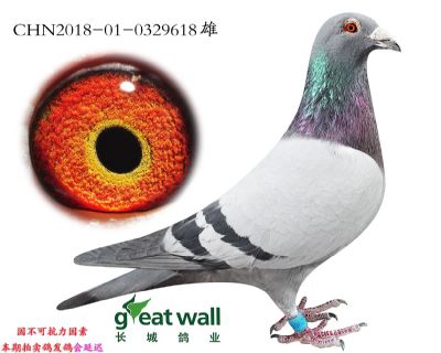 7.幸运848孙代.0329618