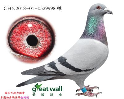 19.零缺陷回血孙代.0329998