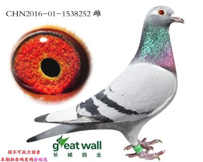 20.年轻超级克拉克近血孙代.1538252