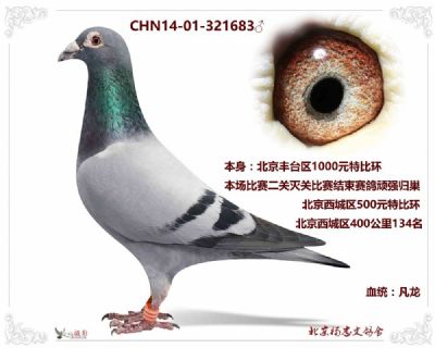 北京西城区400公里134名