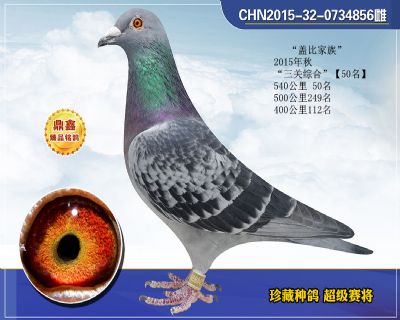 盖比三关综合50名
