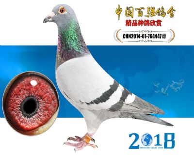 邮政特比23名母亲 盖比闪电号