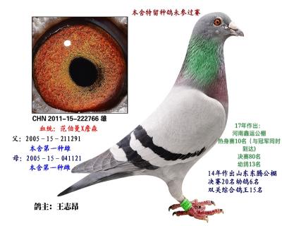 4.黃金配對直子