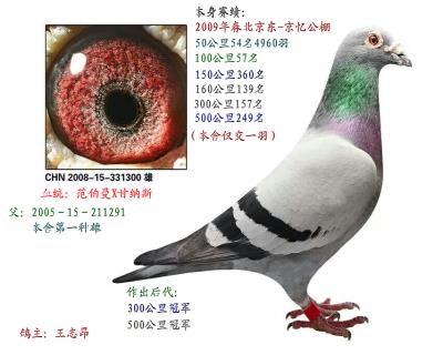 第一種雄直子