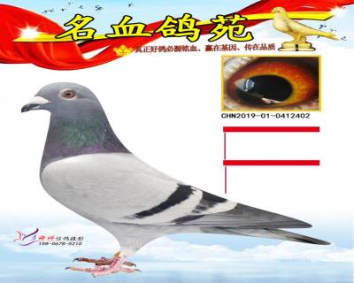 资料有误。勿拍