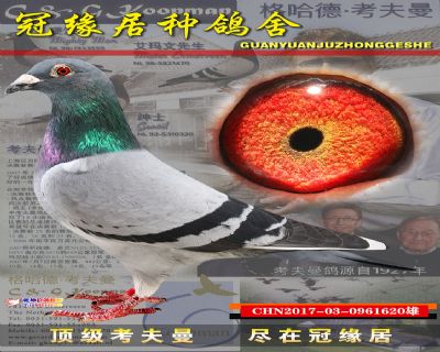 安娜丽丝直子巴纳儿子配孙女回血620