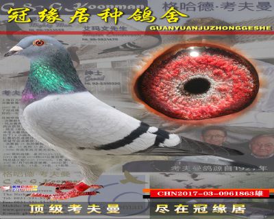 安娜丽丝直子巴纳配巴纳直孙女863