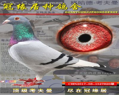 安娜丽丝直子巴纳配黄金迪克女儿X速霸龙020