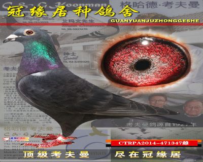 台湾347