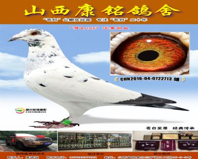 梦幻145近亲回血713