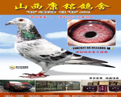 苍白使者、梦幻146近亲回血805