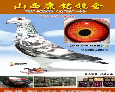 梦幻146近亲回血126