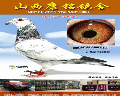 梦幻145近亲回血372