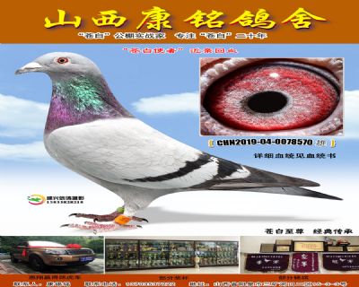 苍白使者近亲回血570