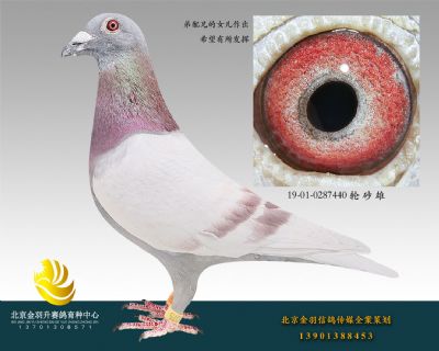 19-01-0287440 輪 砂 雄