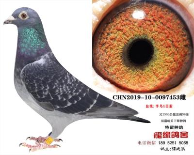 李鳥吳淞1
