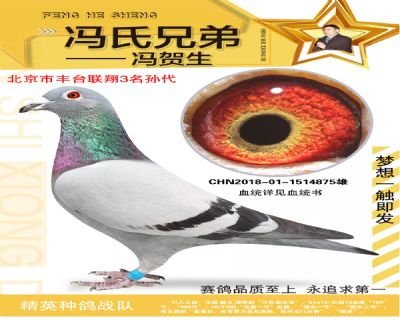 北京市豐臺聯翔3名直孫875