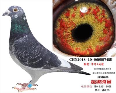 李鳥吳淞15