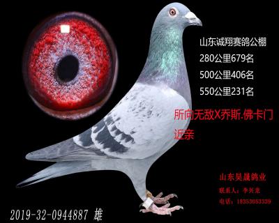 550公里决赛231名