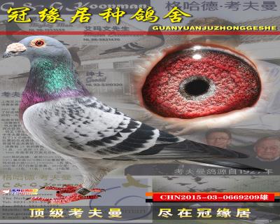 克拉克詹森配考夫曼209