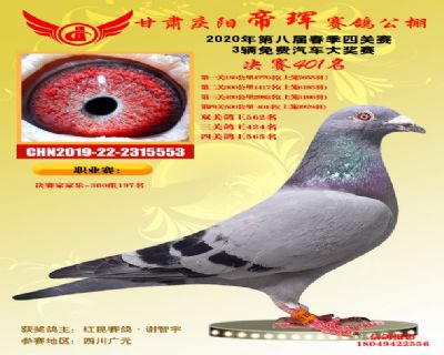 甘肃帝珲决赛401名