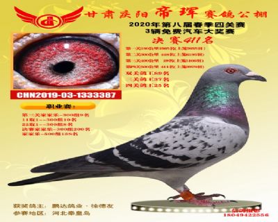 甘肃帝珲决赛411名