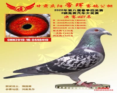 甘肃帝珲决赛421名