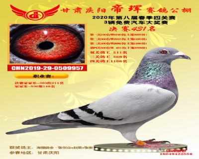 甘肃帝珲决赛431名