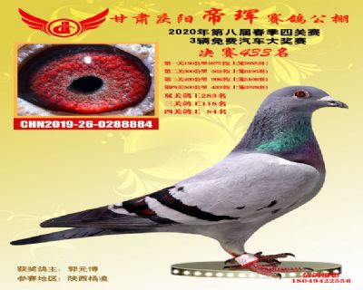 甘肃帝珲决赛433名